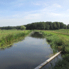 Natuur gedichten